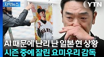 하이라이트