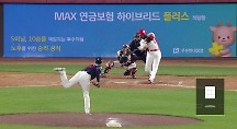 하이라이트