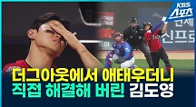 하이라이트