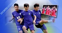 하이라이트