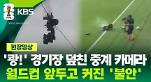 하이라이트