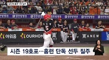 하이라이트