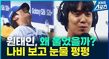 하이라이트