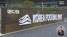 하이라이트