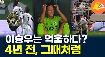 하이라이트