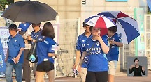 하이라이트