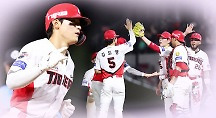 하이라이트