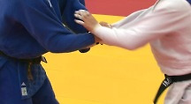 하이라이트