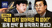 하이라이트