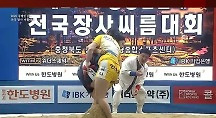 하이라이트