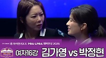 하이라이트