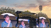 하이라이트