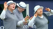 하이라이트