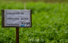 세계 22개국에 울려퍼지는 한국농업의 산실 ‘코피아’ [新농사직썰-케이팜①]