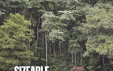 [표지로 읽는 과학] 멸종위기 코끼리 살리는 '산림인증제도'