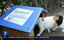 [풀뿌리 언론K] “창원시 첫 길고양이 공공급식소 ‘민원 줄고 공존 실천’”