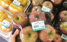 ‘4개 1만6000원’ 사과값에 깜짝…냉동과일 샀다면 이것 확인해야 [식탐]