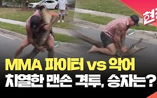 [현장영상] 종합격투기 선수와 악어가 맨손으로 싸우면 누가 이길까?
