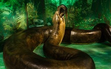 따뜻하고 습한 지구에서 번성한 ‘역사상 가장 큰 뱀’[멸종열전]