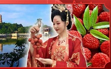 "하루 3백 개도 먹을 수 있다"…중국 최고 미인의 '최애' 과일은? [스프]