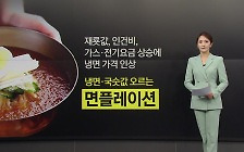 냉면 한 그릇이 1만6천 원?... '면플레이션'에 커지는 부담 [앵커리포트]