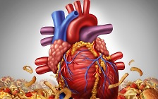 [헬스S] 가장 중요한 장기 '심장'… 심부전 예방은