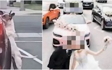 [픽!영상] "버리지 마" 주인車에 매달린 강아지…도로 막고 무개념 '웨딩 촬영'
