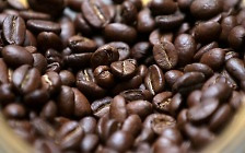 커피값 1년만에 46.7%↑…수입물가 4개월 연속 상승, 언제까지 오르나 [뉴스+]