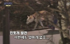 이경규 예능 ‘진돗개 차별’ 사과에도…“불법 촬영 내려라” 비판 계속