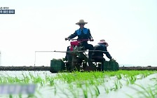 [요즘 북한은] 곡물 생산 독려…북러 농업 밀착 외