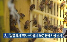 [기후는 말한다] ‘꿀벌 폐사’ 막자…서울시, 독성 농약 사용 금지