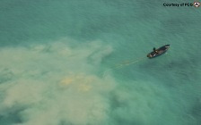 “대왕조개, 中어부 탓에 씨말라” 필리핀, 남중국해 환경 조사 촉구 [포착]