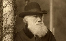 [신간] 다윈이 사랑한 식물·일할 사람이 사라진다