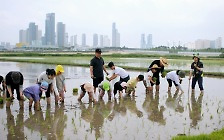 "세종의 보물같은 곳" 금개구리 학교가 열렸다