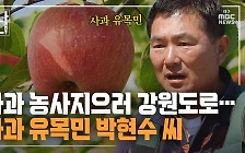 [만나보니] 사과 농사지으러 강원도로···사과 유목민 박현수 씨