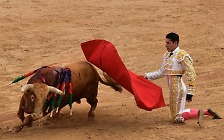 "소 살해" 비판 커도... 스페인 투우 '저물 듯 안 저무는' 이유는?