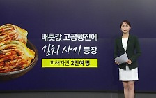 "어쩐지 싸더라..." '김포족' 노린 김치 사기 등장 [앵커리포트]