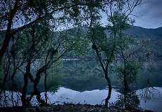 스경연예연구소