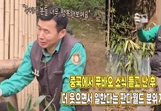 "판월 분들도 행복해해요" 푸바오 소식 듣고 더 웃으면서 일한다는 강바오 & 송바오 이미지