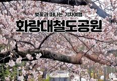 서울 도심 속, 기차와 벚꽃이 만나는마법 같은 공간이 있다는 거, 알고 계셨나요? 이미지