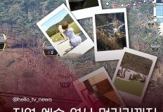 출입기자가 알려주는 원주 여행 '꿀팁' 이미지