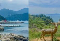 거제 이수도 1박 3식 여행, 조용한 바다에 안기다 이미지