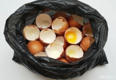 "계란 껍질, 이렇게 쓰는 거였어?"…알아두면 유용한 활용법 TOP5 이미지