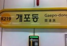 반려견이 밥을 많이 먹으면 이미지