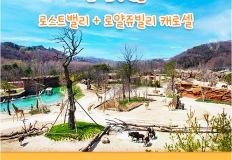 에버랜드 큐패스 가격·할인·예약까지 완벽 가이드 (2025 최신) 이미지