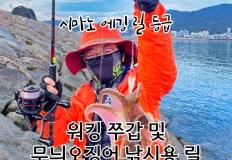 시마노 에깅 릴의 등급(워킹 쭈갑 및 무늬오징어 낚시용 릴) 이미지