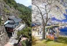 "구미, 이렇게 매력적이었어?"… 자연과 문화가 공존하는 구미 가볼 만한 곳 BEST 6 이미지