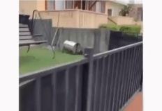 옆집 개 때문에 맨날 지각하는 사람.gif 이미지