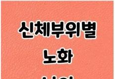 사람의 신체부위별 노화나이와 노화를 늦추는 꿀팁 알아보기 이미지