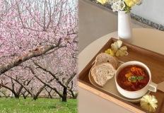 분홍꽃과 차 한잔, 꿈같은 하루 — 이천 복사꽃 정원 감성 여행 이미지